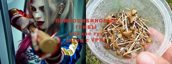 дмт Покачи