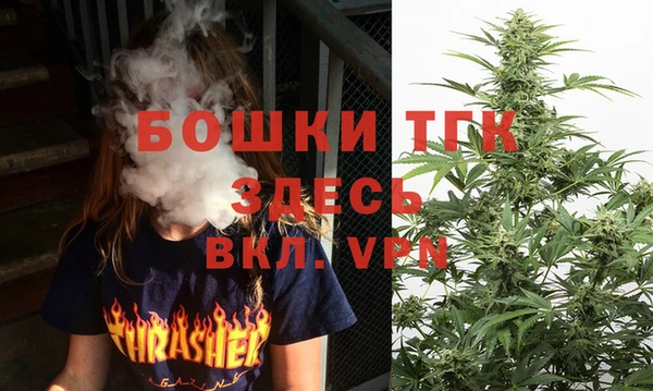 СК Протвино