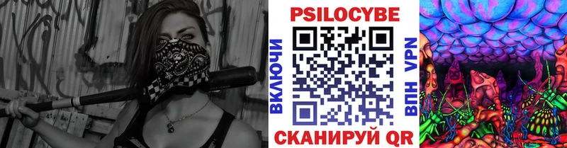 как найти закладки  Татарск  Галлюциногенные грибы MAGIC MUSHROOMS 