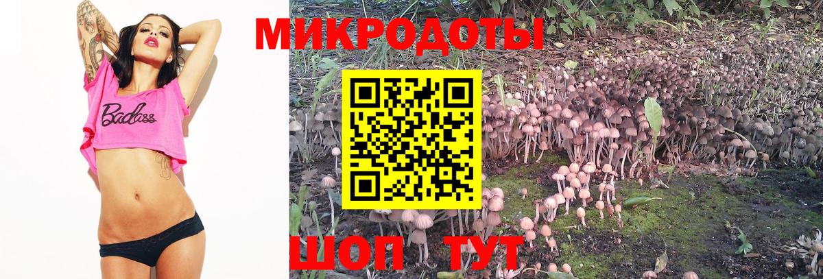 Псилоцибиновые грибы Psilocybine cubensis  Псилоцибиновые грибы MAGIC MUSHROOMS  Вход с VPN  Татарск 